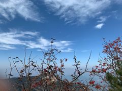 -泰山风景名胜区