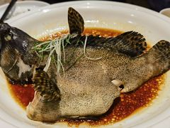 古法清蒸老虎斑-顺鹅季·非遗烧鹅(六道口店)