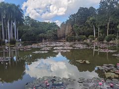 -中国科学院西双版纳热带植物园
