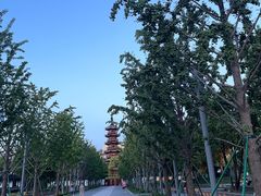 -龙华寺