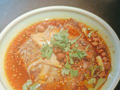 -陈麻婆豆腐总店