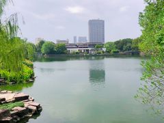 -月湖公园