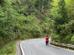 -紫鹊界梯田景区