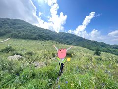 -白草畔自然风景区