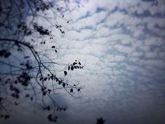 iphone_upload_pic-广州市帽峰山景区