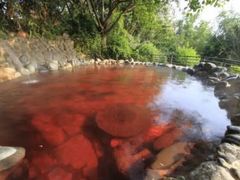 -湖泉半山温泉(湖泉生态园)