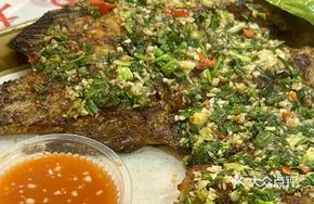 Marinated Grilled Tilapia