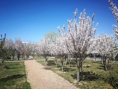 -北运河水利风景区