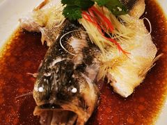清蒸原汁海鲈鱼-青城山六善酒店·紫氣園中餐厅