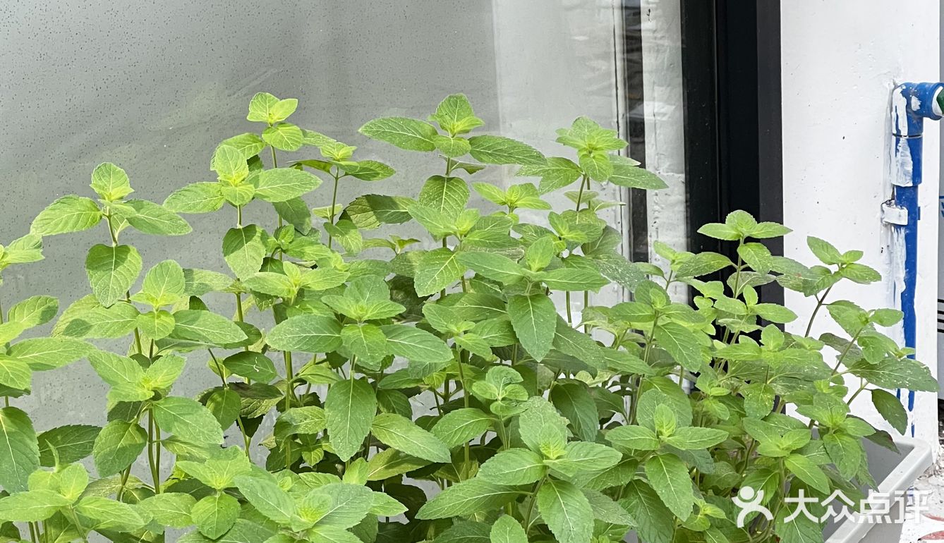 广州天河|小区内舒适咖啡屋☕