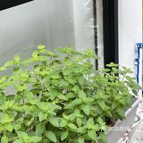 广州天河|小区内舒适咖啡屋☕