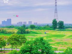 -渭河城市绿地运动公园