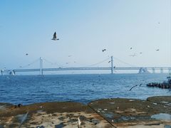 -星海广场