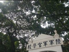 -长洲岛