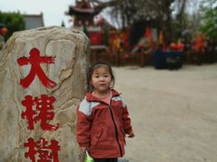 -大槐树寻根祭祖园