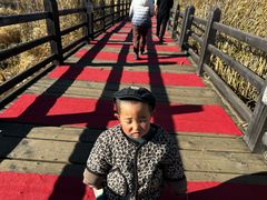 -泸沽湖国家级风景名胜区走婚桥