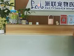 -派联宠物医院·24h·CT·异宠