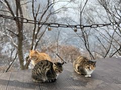 -华山风景名胜区