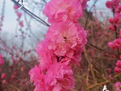 -北运河水利风景区