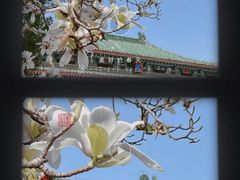 -国家图书馆·古籍馆