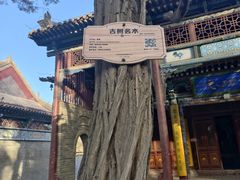 -张掖大佛寺景区