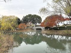 -品鲜村农家菜·阳澄湖大闸蟹(总店)