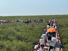 -北海金海湾红树林生态旅游区