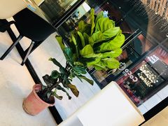 -CoCo都可(中集店)