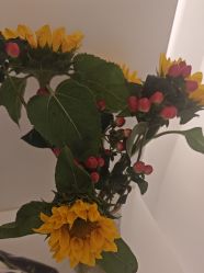 -苑苑vbeauty科技美容SPA