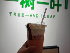-一树一叶·福建茶档(石鼓路店)