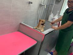 -宠福鑫康馨动物医院·骨科·眼科