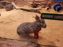 -正佳雨林生态植物园