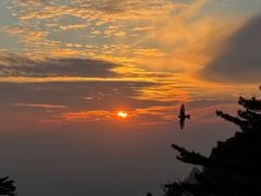 -黄山白云宾馆