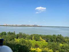 -天津东丽湖风景区