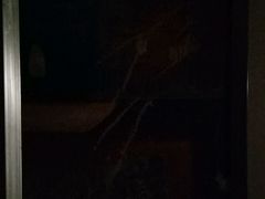 -乐享养生(东湖店)