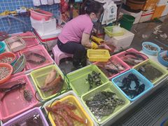 -蛇口市场