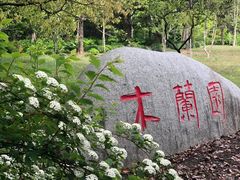 -上海滨江森林公园
