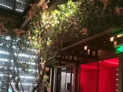 -星·South Beauty·俏江南(国贸店)