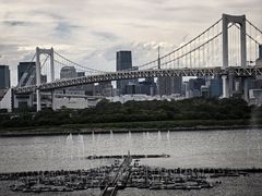 -台场海滨公园船码头
