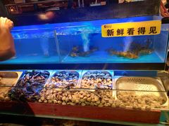 -苏格里岛自助海鲜烤肉(青秀万达店)