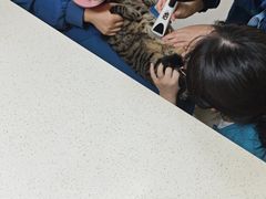 -联合动物医院(光谷诊疗中心)