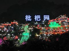-枇杷园食为鲜火锅(南山店)