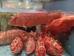 -阿伟海鲜楼·福建菜(延寿店)