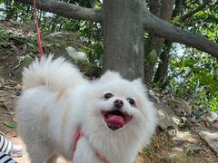 -梧桐山风景名胜区