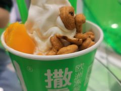 -Salud撒露欧洲冻酸奶(蓝色港湾店)