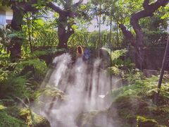 -Chom Cafe and Restaurant