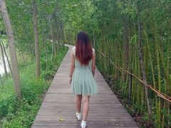 android_upload_pic-荷兰花海