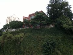 -八婆婆烧仙草(中山路店)