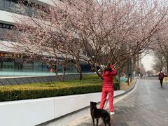 -首都医科大学附属北京同仁医院(西区)