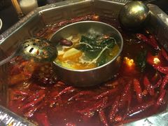 -蜀九香火锅(九眼桥店)